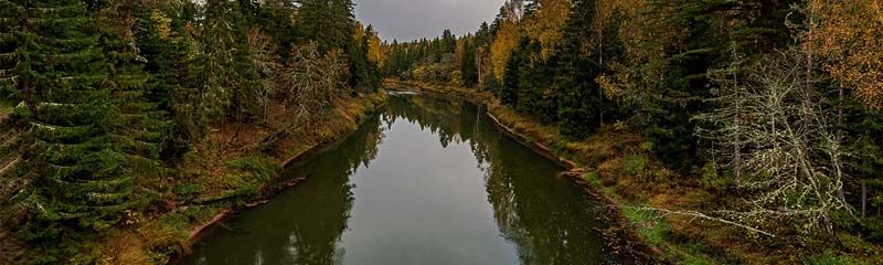 Звуки, шум, плеск, гул Большой реки, воды в горах и лесу