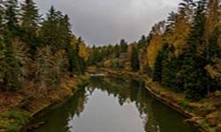 Звуки, шум, плеск, гул Большой реки, воды в горах и лесу